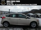 2018 White Gold Ford Focus SE Hatch #124789861