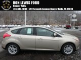 2018 White Gold Ford Focus SE Hatch #124362666