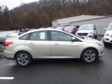 2018 White Gold Ford Focus SE Sedan #125597864