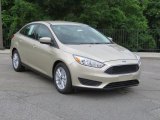 2018 White Gold Ford Focus SE Sedan #127378171