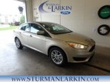 2018 White Gold Ford Focus SE Sedan #127667930