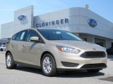 2018 White Gold Ford Focus SE Hatch #128602206