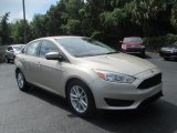 2018 White Gold Ford Focus SE Sedan #128967023