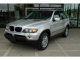 2006 Titanium Silver Metallic BMW X5 3.0i #1301562