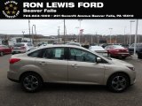 2018 White Gold Ford Focus SE Sedan #131338152