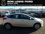 2018 Ingot Silver Ford Focus SE Hatch #131338150