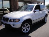 2006 Titanium Silver Metallic BMW X5 3.0i #18631661