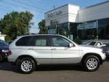 2006 Titanium Silver Metallic BMW X5 3.0i #18563308