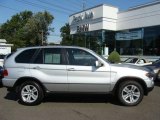 2006 Titanium Silver Metallic BMW X5 4.4i #18905752