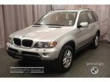 2006 Titanium Silver Metallic BMW X5 3.0i #2146629