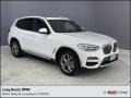 2020 Alpine White BMW X3 xDrive30e #146606074