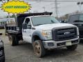 2011 Oxford White Ford F450 Super Duty XL Regular Cab Dually Dump Truck #140702485