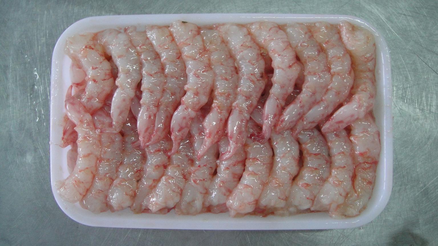 frozen  shrimp