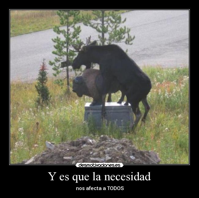 carteles  desmotivaciones