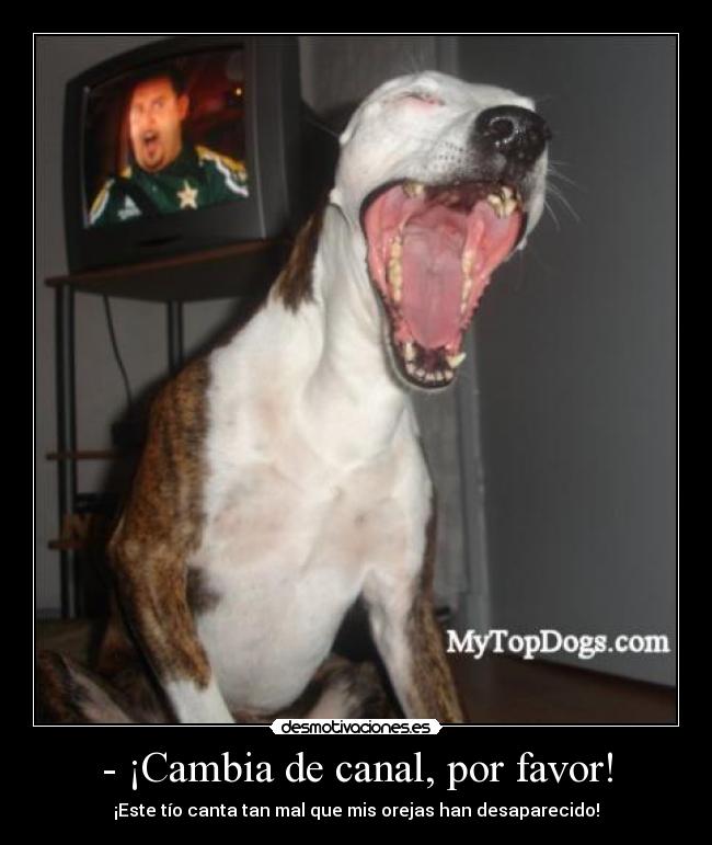 carteles perro furioso desmotivaciones