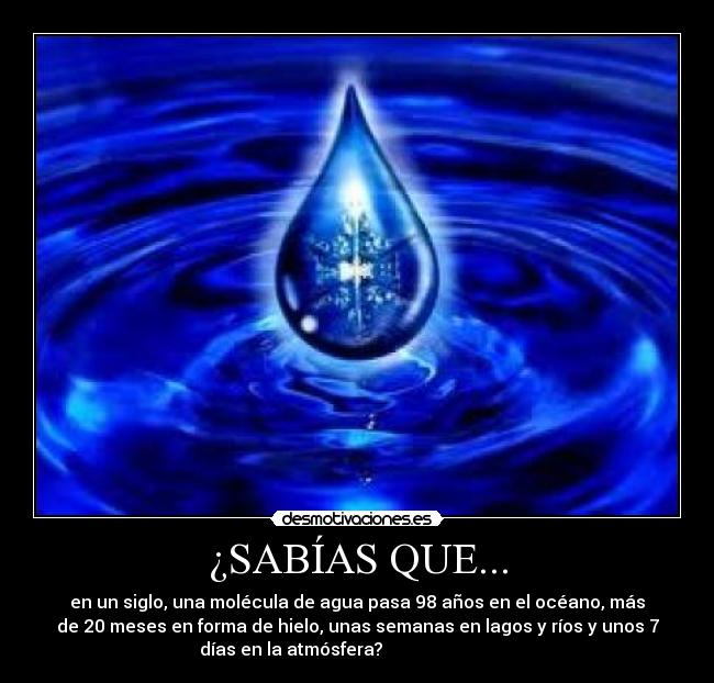 ¿SABÍAS QUE... - en un siglo, una molécula de agua pasa 98 años en el océano, más
de 20 meses en forma de hielo, unas semanas en lagos y ríos y unos 7
días en la atmósfera?                              