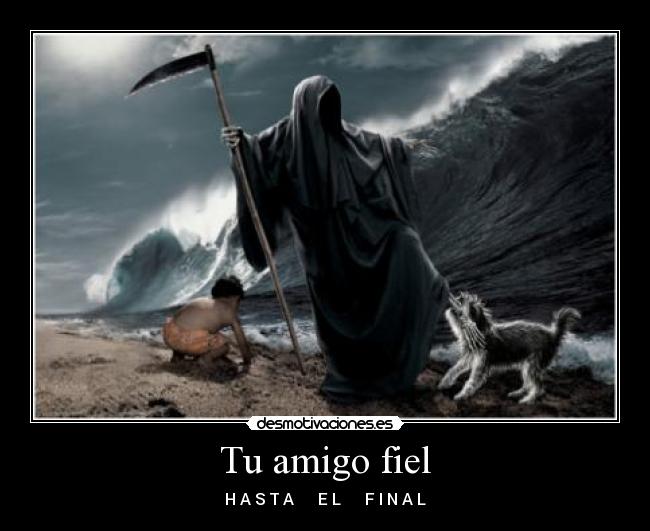 carteles amigo fiel muerte tsunami nino desmotivaciones