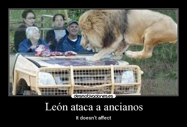 León ataca a ancianos - It doesnt affect