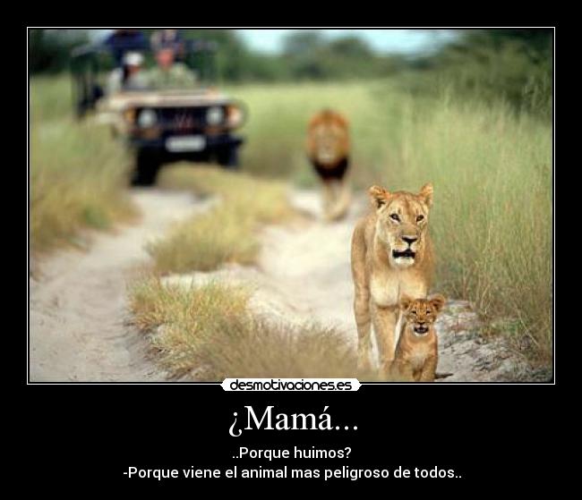 carteles animales desmotivaciones