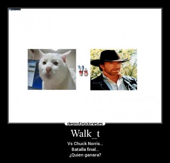 Walk_t - Vs Chuck Norris...
Batalla final...
¿Quien ganara?