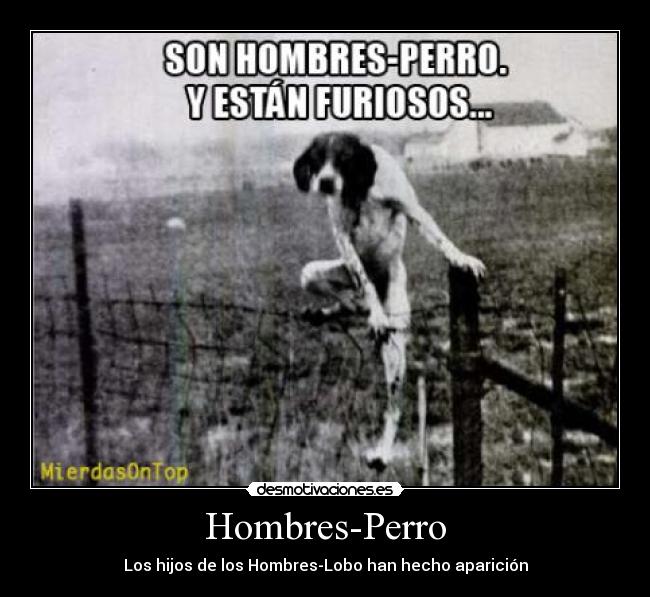 carteles hombre-perro furioso letal desmotivaciones