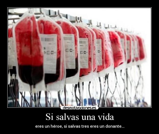 carteles vida pmv123456789 desmotivaciones