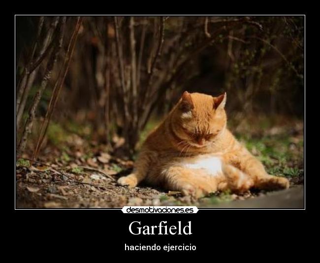 carteles garfield megaglt desmotivaciones