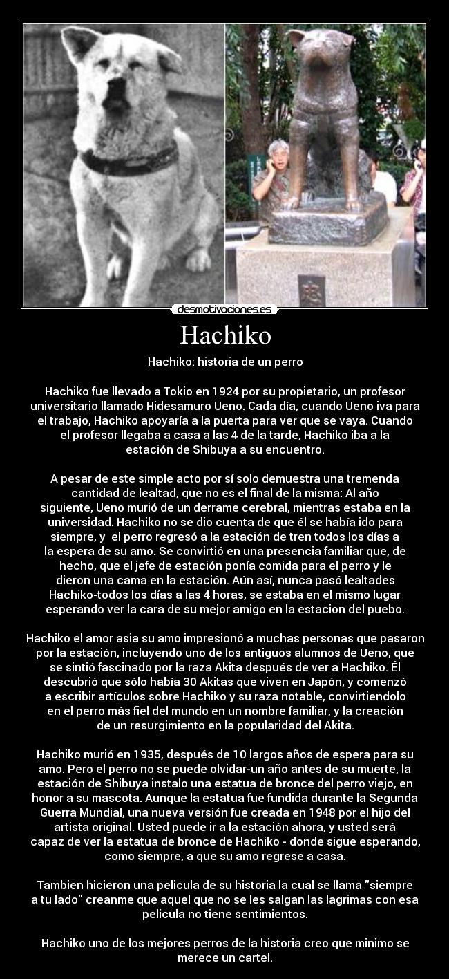 Hachiko - Hachiko: historia de un perro

Hachiko fue llevado a Tokio en 1924 por su propietario, un profesor
universitario llamado Hidesamuro Ueno. Cada día, cuando Ueno iva para
el trabajo, Hachiko apoyaría a la puerta para ver que se vaya. Cuando
el profesor llegaba a casa a las 4 de la tarde, Hachiko iba a la
estación de Shibuya a su encuentro.

A pesar de este simple acto por sí solo demuestra una tremenda
cantidad de lealtad, que no es el final de la misma: Al año
siguiente, Ueno murió de un derrame cerebral, mientras estaba en la
universidad. Hachiko no se dio cuenta de que él se había ido para
siempre, y  el perro regresó a la estación de tren todos los días a
la espera de su amo. Se convirtió en una presencia familiar que, de
hecho, que el jefe de estación ponía comida para el perro y le
dieron una cama en la estación. Aún así, nunca pasó lealtades
Hachiko-todos los días a las 4 horas, se estaba en el mismo lugar
esperando ver la cara de su mejor amigo en la estacion del puebo.

Hachiko el amor asia su amo impresionó a muchas personas que pasaron
por la estación, incluyendo uno de los antiguos alumnos de Ueno, que
se sintió fascinado por la raza Akita después de ver a Hachiko. Él
descubrió que sólo había 30 Akitas que viven en Japón, y comenzó
a escribir artículos sobre Hachiko y su raza notable, convirtiendolo
en el perro más fiel del mundo en un nombre familiar, y la creación
de un resurgimiento en la popularidad del Akita.

Hachiko murió en 1935, después de 10 largos años de espera para su
amo. Pero el perro no se puede olvidar-un año antes de su muerte, la
estación de Shibuya instalo una estatua de bronce del perro viejo, en
honor a su mascota. Aunque la estatua fue fundida durante la Segunda
Guerra Mundial, una nueva versión fue creada en 1948 por el hijo del
artista original. Usted puede ir a la estación ahora, y usted será
capaz de ver la estatua de bronce de Hachiko - donde sigue esperando,
como siempre, a que su amo regrese a casa.

Tambien hicieron una pelicula de su historia la cual se llama siempre
a tu lado creanme que aquel que no se les salgan las lagrimas con esa
pelicula no tiene sentimientos.

Hachiko uno de los mejores perros de la historia creo que minimo se
merece un cartel.