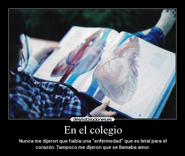 En el colegio - Nunca me dijeron que había una enfermedad que es letal para el
corazón. Tampoco me dijeron que se llamaba amor.