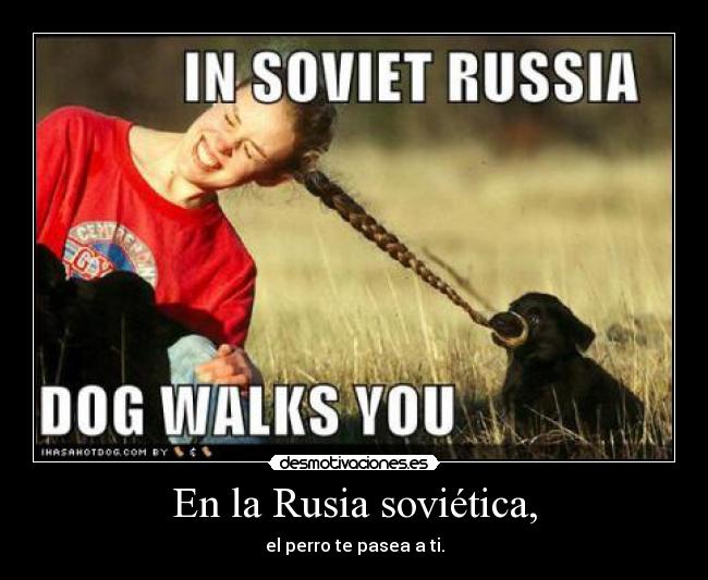 En la Rusia soviética, - el perro te pasea a ti.