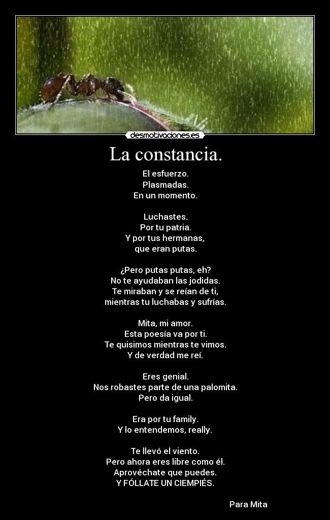 La constancia. - El esfuerzo.
Plasmadas.
En un momento.

Luchastes.
Por tu patria.
Y por tus hermanas,
que eran putas.

¿Pero putas putas, eh?
No te ayudaban las jodidas.
Te miraban y se reían de ti,
mientras tu luchabas y sufrías.

Mita, mi amor.
Esta poesía va por ti.
Te quisimos mientras te vimos.
Y de verdad me reí.

Eres genial.
Nos robastes parte de una palomita.
Pero da igual.

Era por tu family.
Y lo entendemos, really.

Te llevó el viento.
Pero ahora eres libre como él.
Aprovéchate que puedes.
Y FÓLLATE UN CIEMPIÉS.

                                                                                   Para Mita 