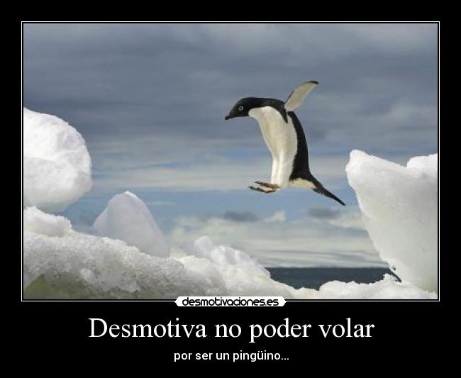 Desmotiva no poder volar - por ser un pingüino...