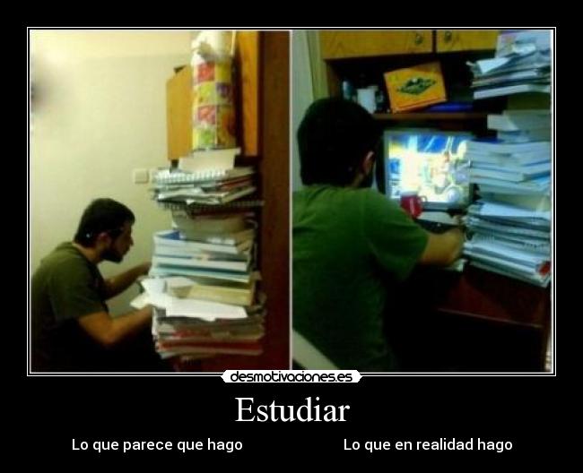 carteles hahaha trollear nivel estudio desmotivaciones