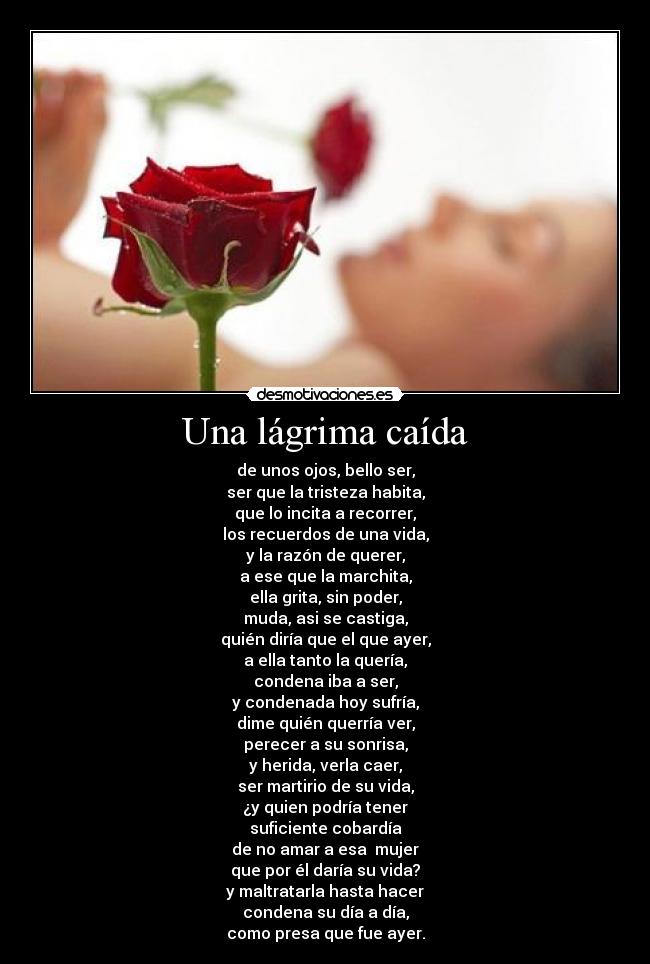 Una lágrima caída - de unos ojos, bello ser,
ser que la tristeza habita,
que lo incita a recorrer,
los recuerdos de una vida,
y la razón de querer,
a ese que la marchita,
ella grita, sin poder,
muda, asi se castiga,
quién diría que el que ayer,
a ella tanto la quería,
condena iba a ser,
y condenada hoy sufría,
dime quién querría ver,
perecer a su sonrisa,
y herida, verla caer,
ser martirio de su vida,
¿y quien podría tener
suficiente cobardía
de no amar a esa  mujer
que por él daría su vida?
y maltratarla hasta hacer
condena su día a día,
como presa que fue ayer.