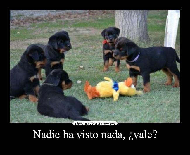 Nadie ha visto nada, ¿vale? - 