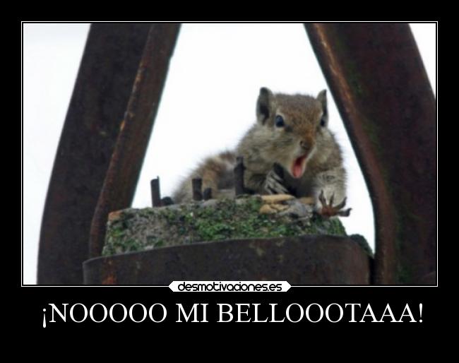 ¡NOOOOO MI BELLOOOTAAA! - 