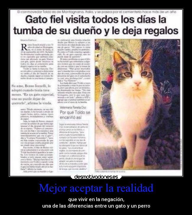 Mejor aceptar la realidad - que vivir en la negación,
una de las diferencias entre un gato y un perro