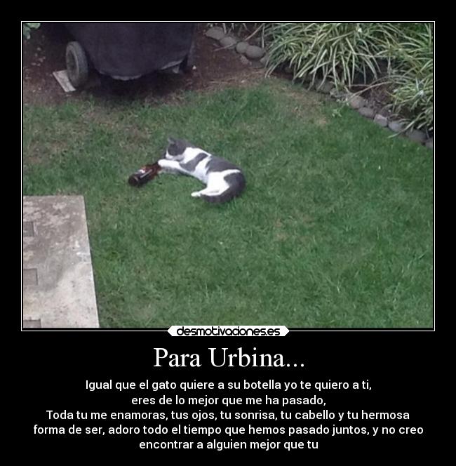 Para Urbina... - Igual que el gato quiere a su botella yo te quiero a ti,
eres de lo mejor que me ha pasado,
Toda tu me enamoras, tus ojos, tu sonrisa, tu cabello y tu hermosa
forma de ser, adoro todo el tiempo que hemos pasado juntos, y no creo
encontrar a alguien mejor que tu