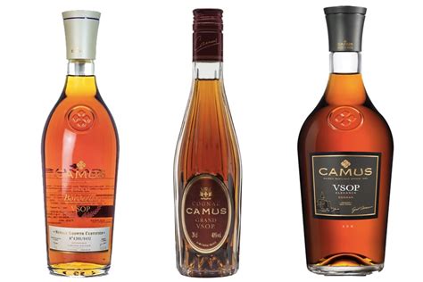 10 Best Cognac Brands to Spruce Up Your Snifter | Man of Many