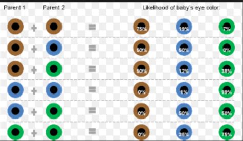 Blue eyes the recessive gene. . . - Page 3 - BabyCenter