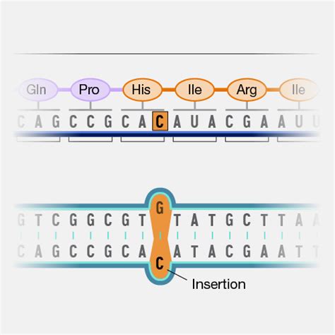 Nonsense Mutation