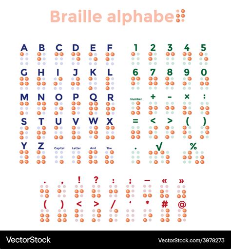 Braille alphabet punctuation and numbers Vector Image