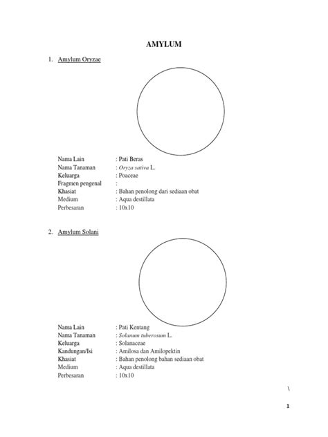 Amylum Sources | PDF