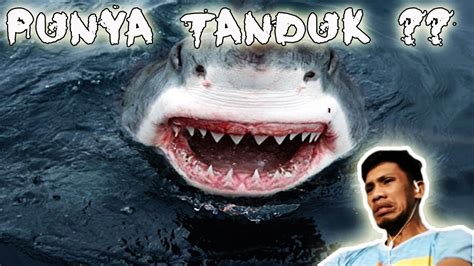 Ikan Hiu di Laut Utara Memiliki Tanduk ?? Salah satu hiu terbesar di ...