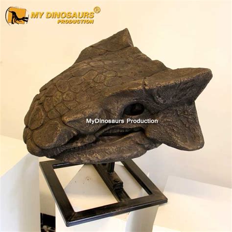 DS-184 Ankylosaurus Skull for Sale | My Dinosaurs