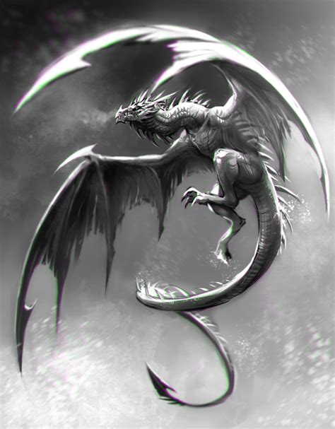 BW Wyvern Speed Painting by Kawiku | Dragon artwork, Dragon sketch ...