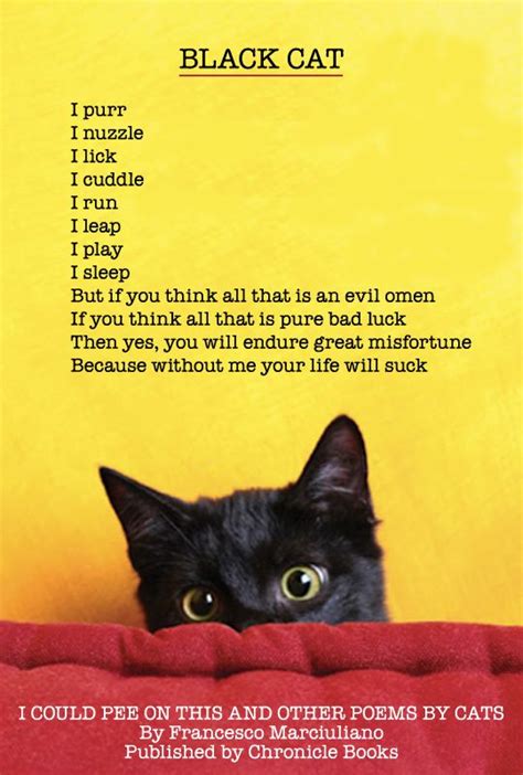 “Black Cat”: A New Poem by the Feline Authors of “I Could Pee on This ...