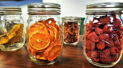 Fruit Dehydrator Recipes | Dandk Organizer