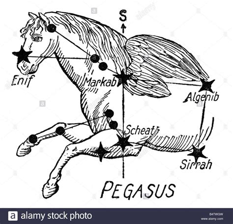 Stock Photo - astromomy, constellations, Pegasus, drawing ...