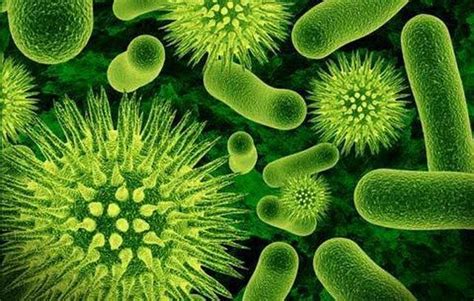 Bacterial Diseases in Humans - Causes, Symptoms, Treatment and Prevention